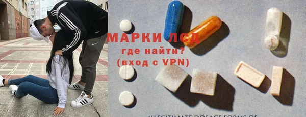 a pvp Аркадак