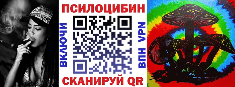 Псилоцибиновые грибы Cubensis  Белово 